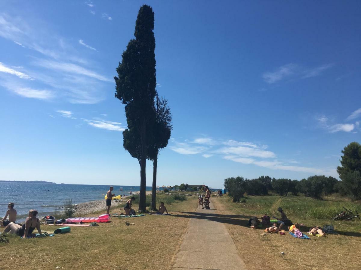 Flat Sweet Dream Διαμέρισμα Πούλα Εξωτερικό φωτογραφία