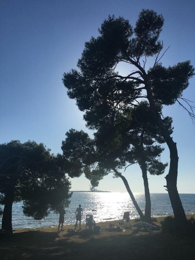 Flat Sweet Dream Διαμέρισμα Πούλα Εξωτερικό φωτογραφία